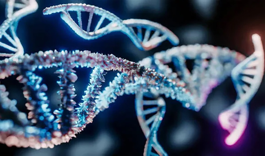 The DNA of Writing Long